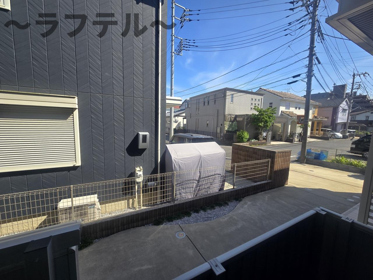 ブルーデイジーのその他