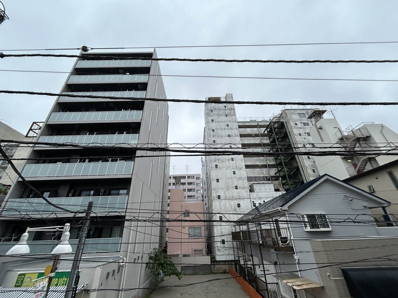 Lilyの展望
