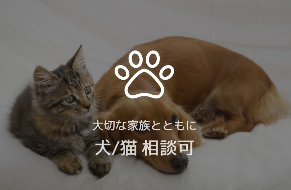 ラ・ポーズの設備