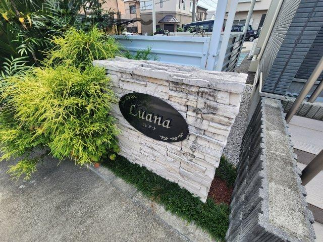 ルアナのその他