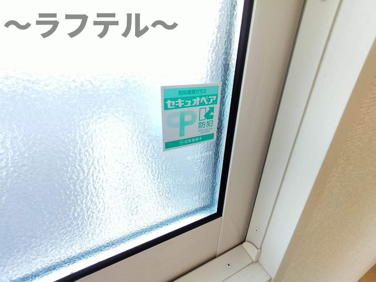 ブラウフォーゲルBのその他