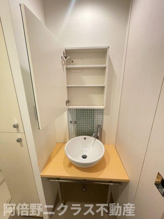セイワパレス大手前西の洗面所