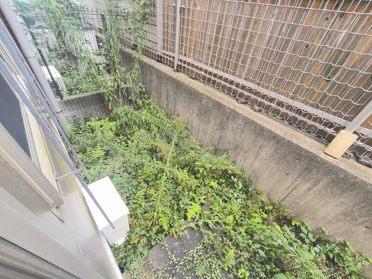 杉並区上荻４丁目の賃貸マンションの庭