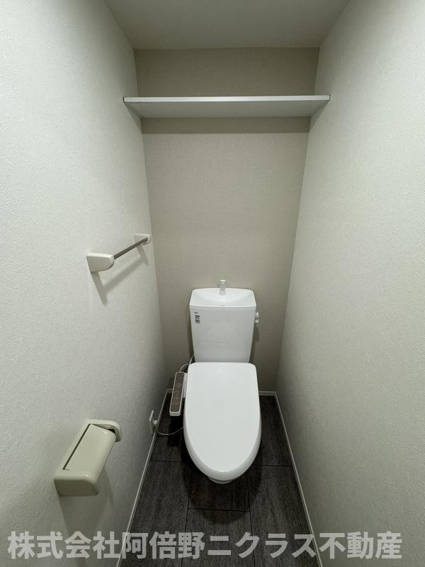 ルミナテラス上町台のトイレ