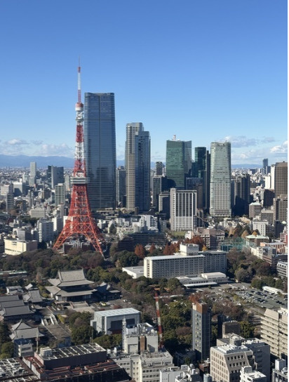 WORLD TOWER RESIDENCEの展望