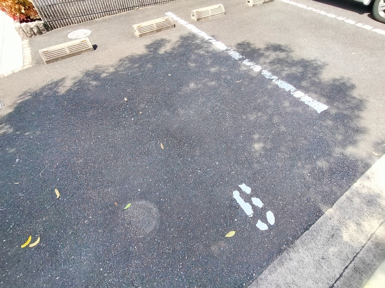 Ｄーｒｏｏｍ若葉台の駐車場