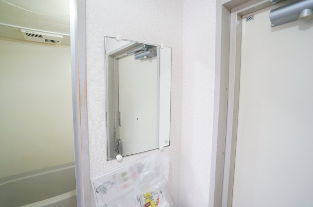 ジュネス神殿のその他