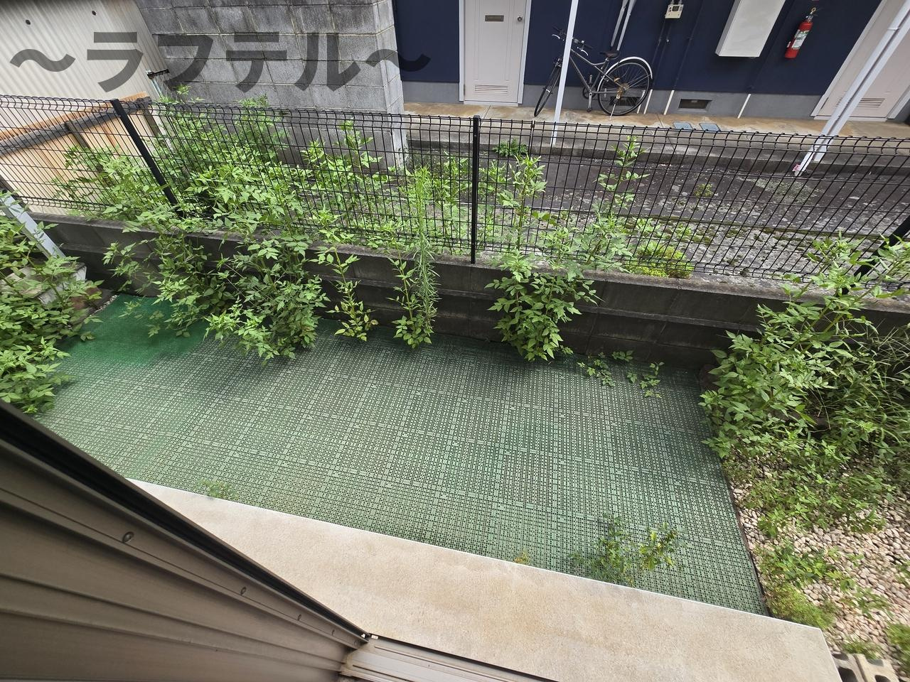 所沢市荒幡戸建の庭