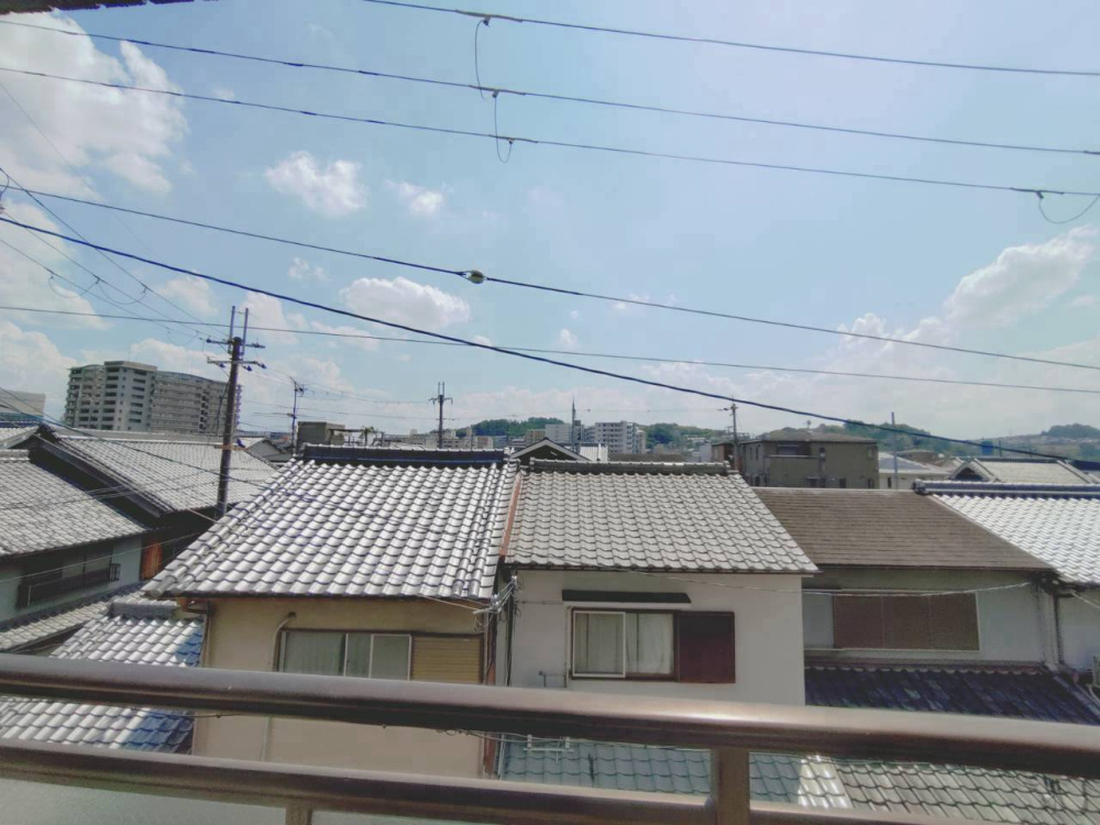 ヴェルディ王寺の展望
