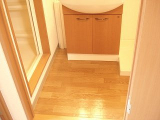 ラ・ポーラ滝川Ⅱ番館のその他|脱衣所