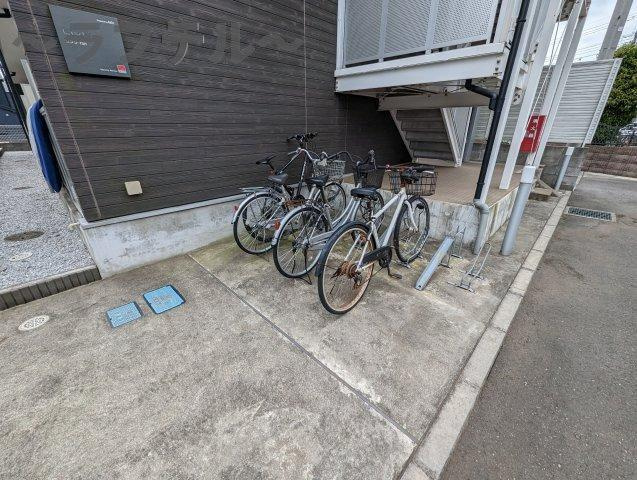 リブリ・TSHのその他