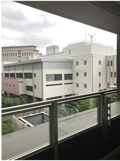 パークシティ大崎　ザ　タワーの展望