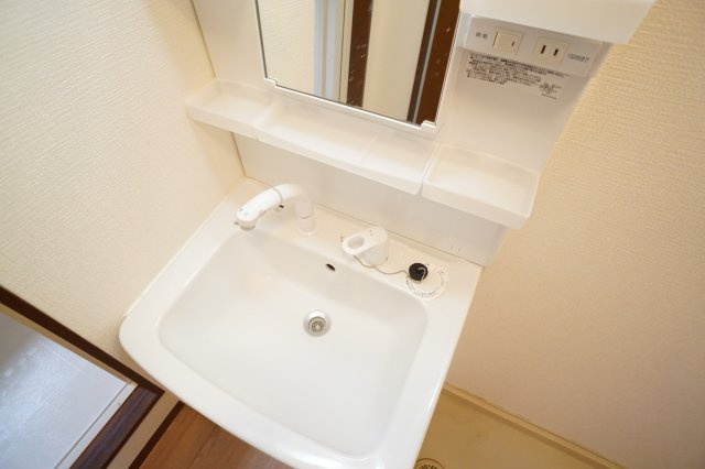 セゾン西の京の洗面所