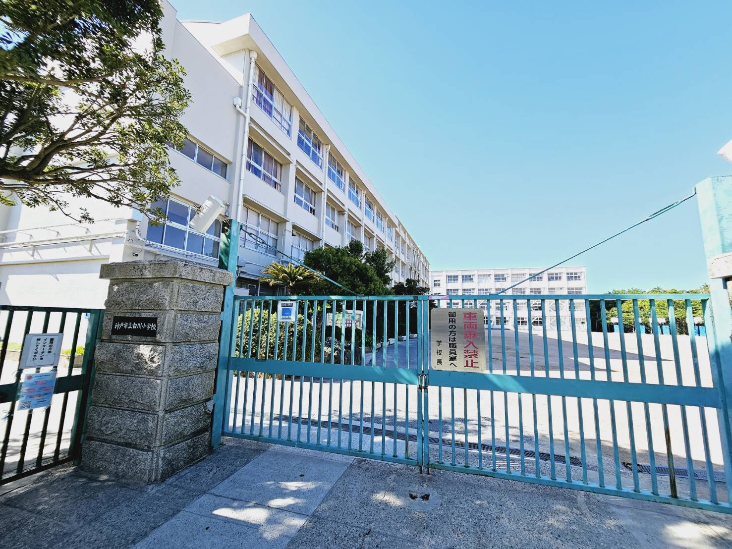 ニューライフ白川台　B棟の周辺|白川小学校