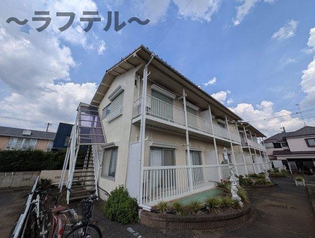 ブルーベリーの外観