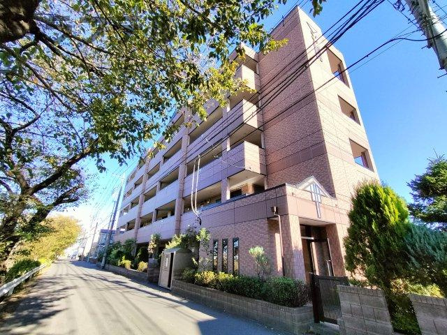 ピークエリシオンの展望