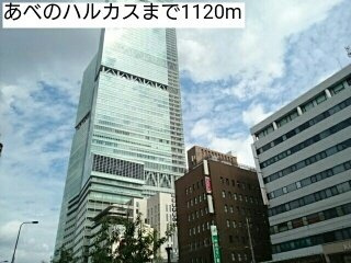 ホッパスの周辺|あべのハルカスまで1120m