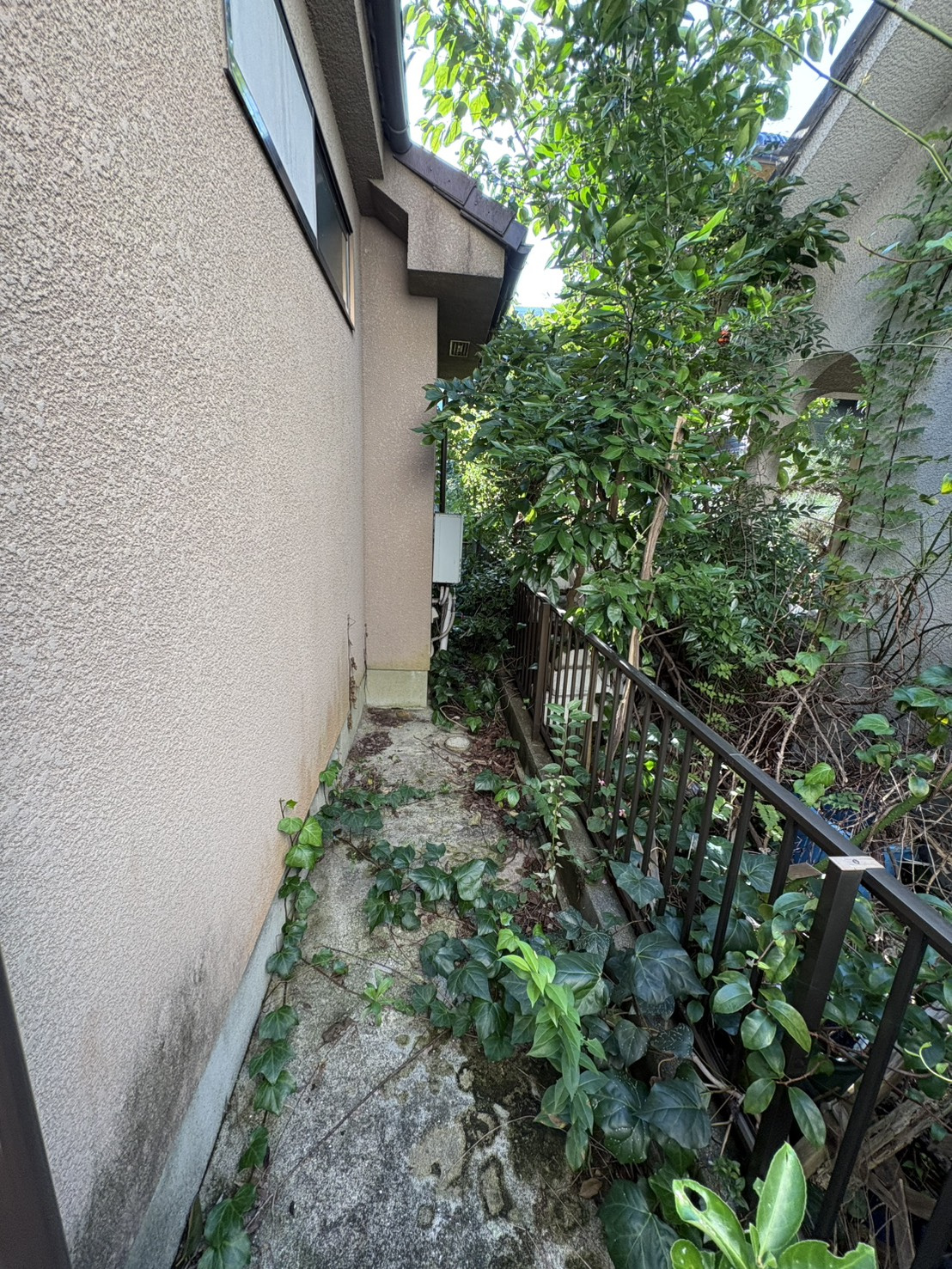 屋敷町戸建の庭