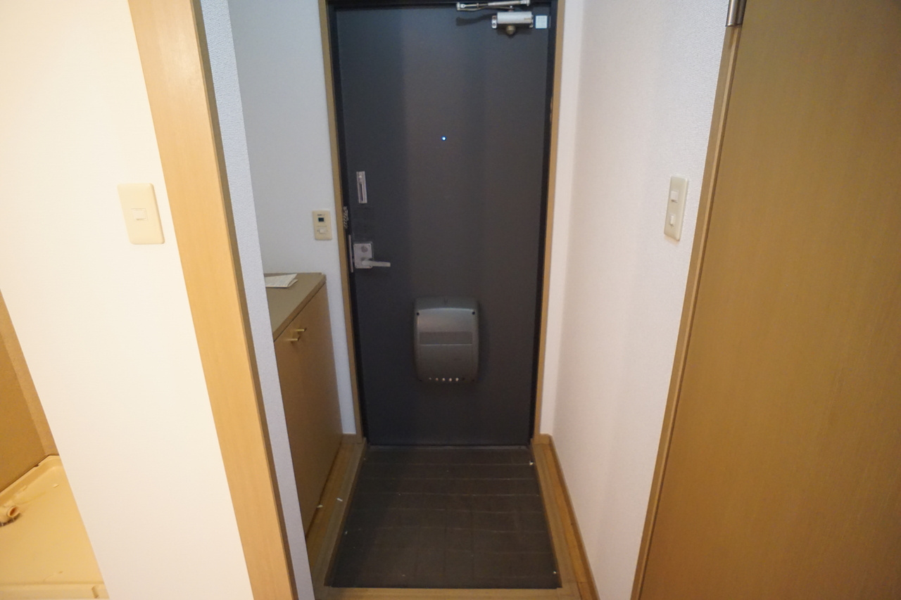 グレースプラザＣ棟の玄関