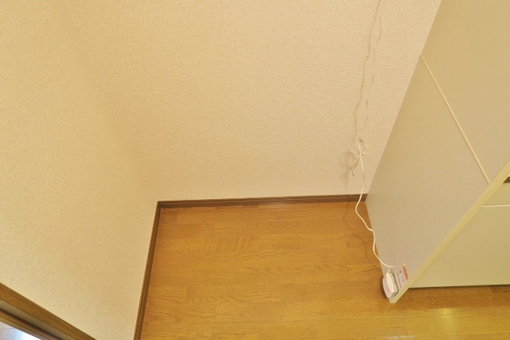 アムール沼口のその他|別室参考写真です。