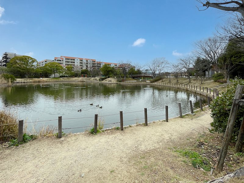 リヴィエール苦楽園のその他|樋之池公園