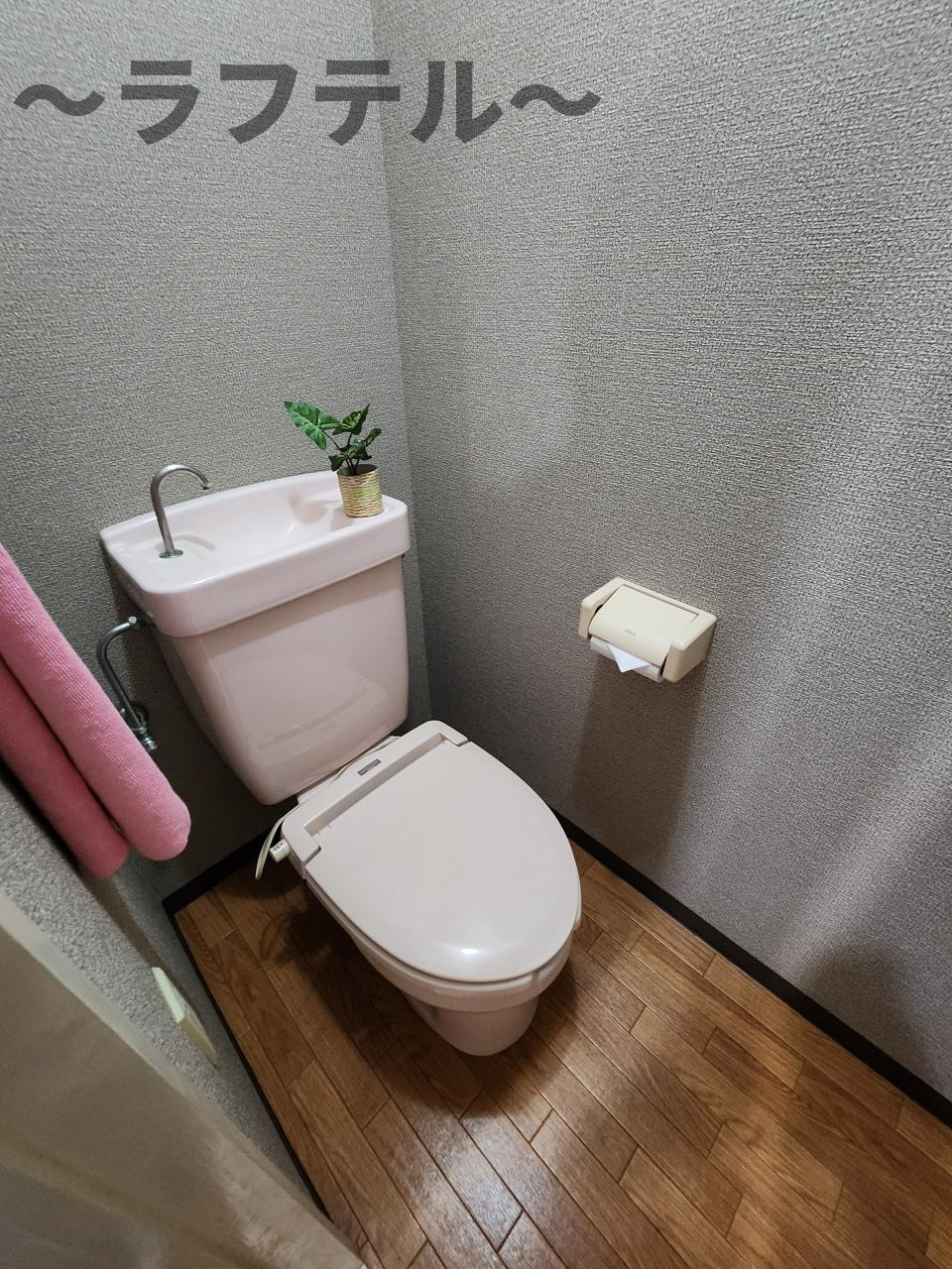 サテライト藤のトイレ|別部屋イメージ