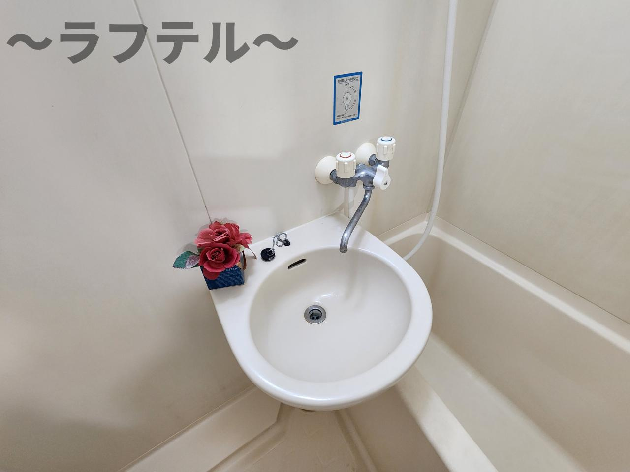 サテライト藤の洗面所|別部屋イメージ