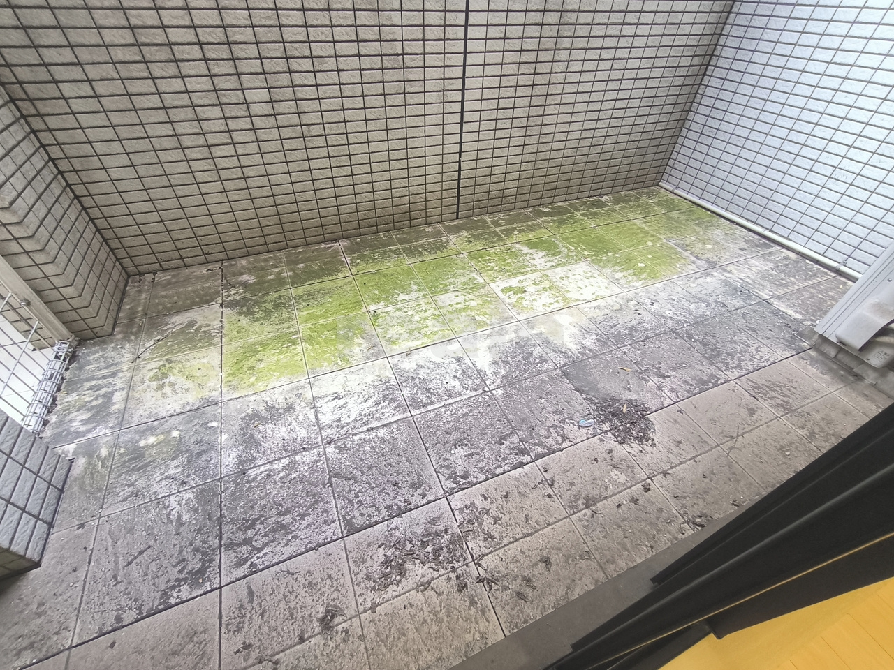杉並区上荻２丁目の賃貸マンションの庭