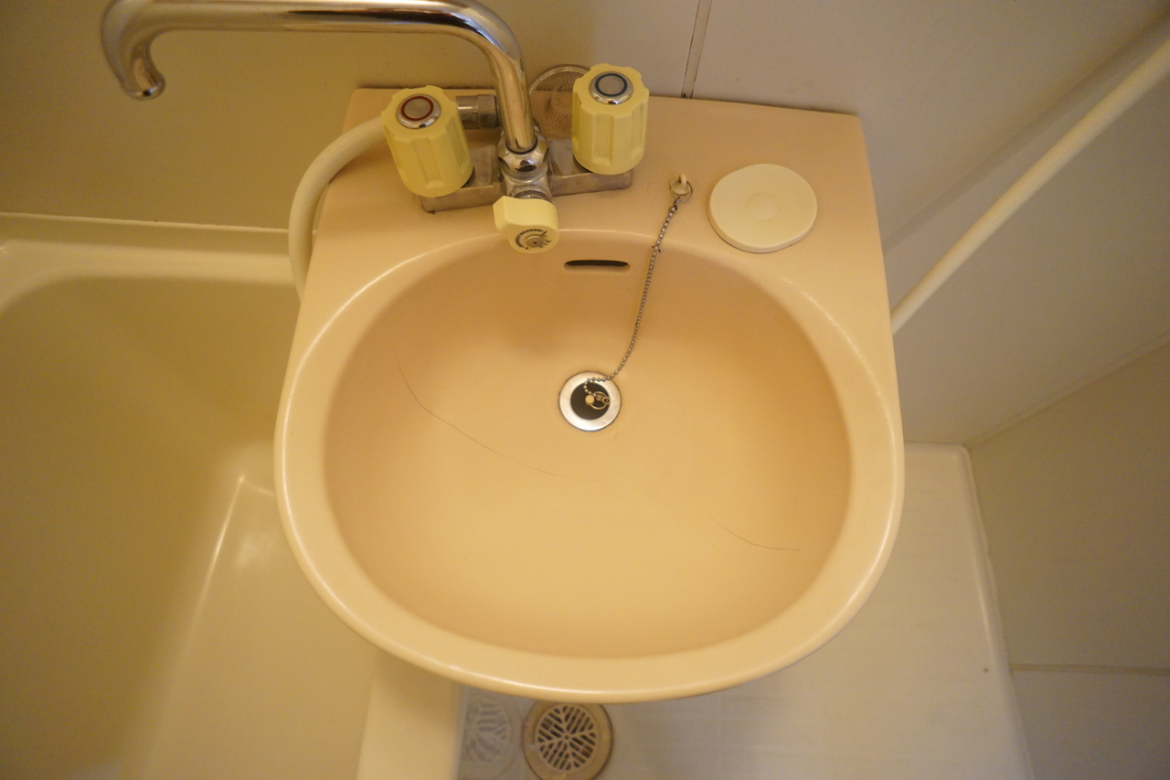 エステートピアタツノの洗面所