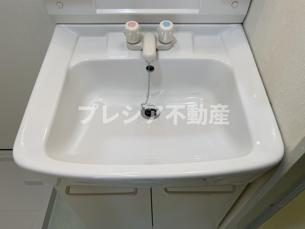 ドミール甲子園の独立洗面台