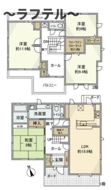 緑町戸建の間取り