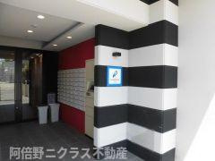 グランパシフィック長橋のエントランス