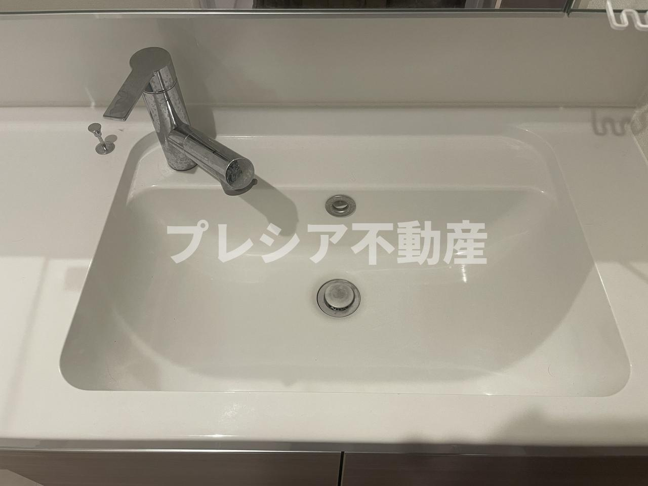 チェーン・パレス上甲子園の洗面所