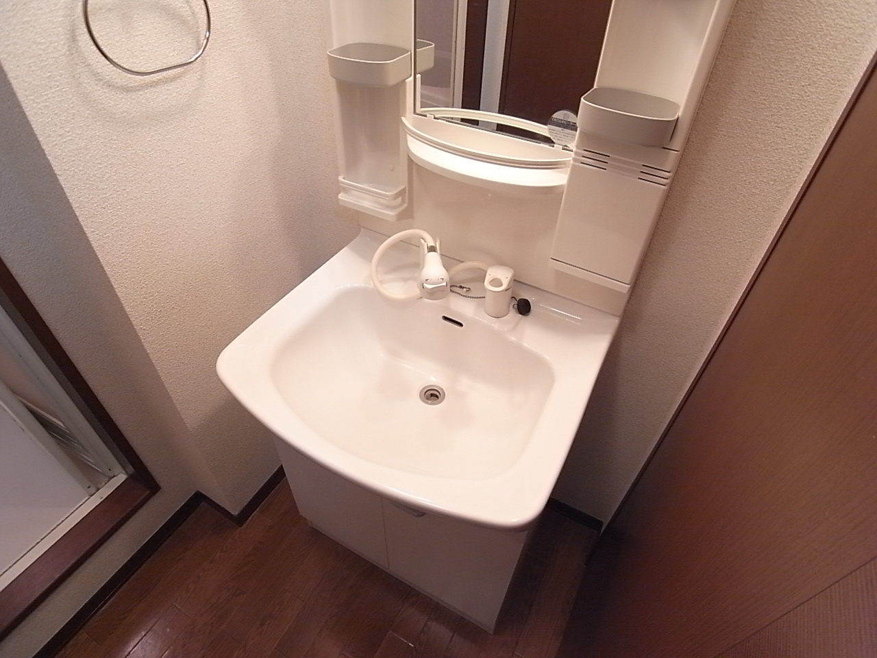 シャーメゾンの洗面所