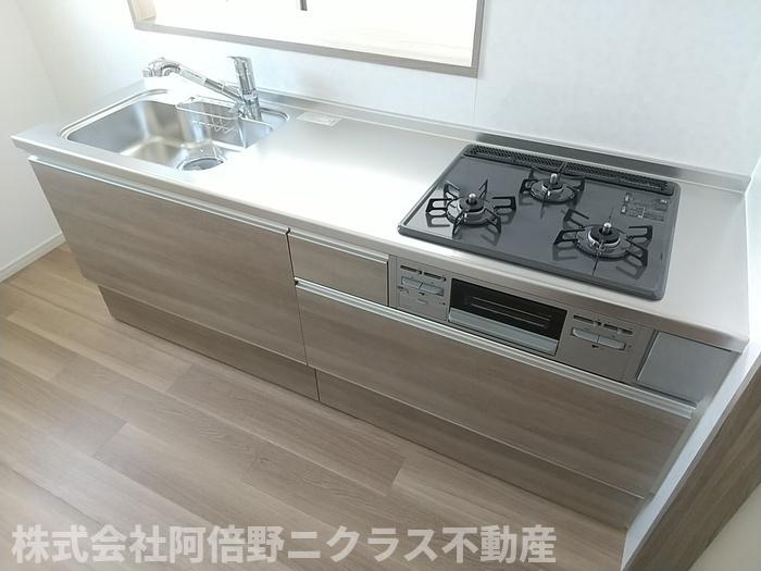 オリオノハイムⅡのキッチン