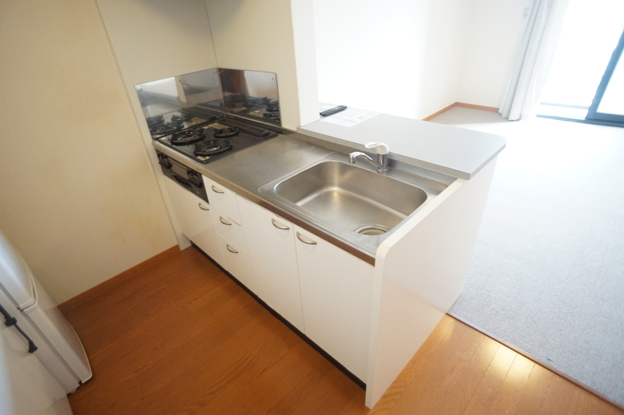レオパレスＬａ　ＶｉｓｔａⅡ(ラビスタ)のキッチン