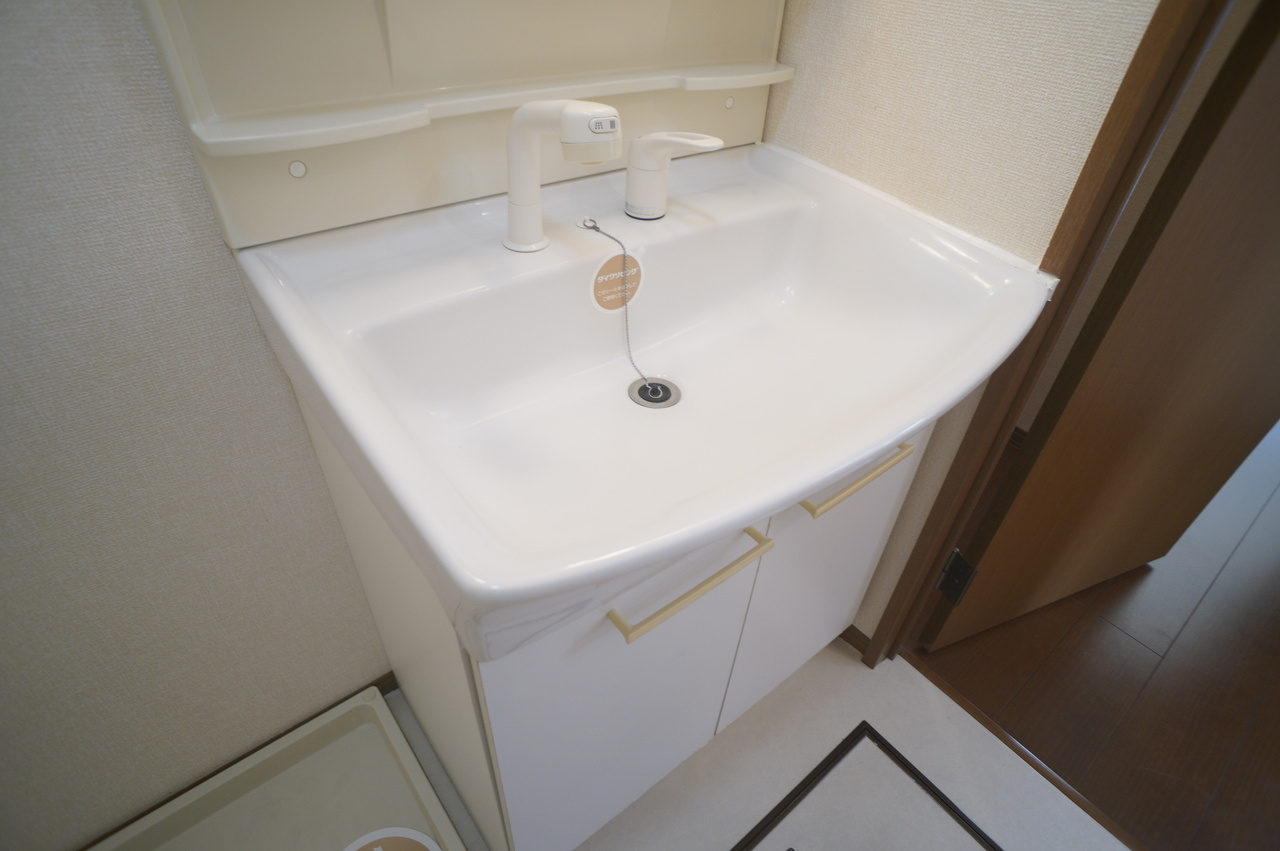 グリーンヴィレッジあいＣ棟の洗面所
