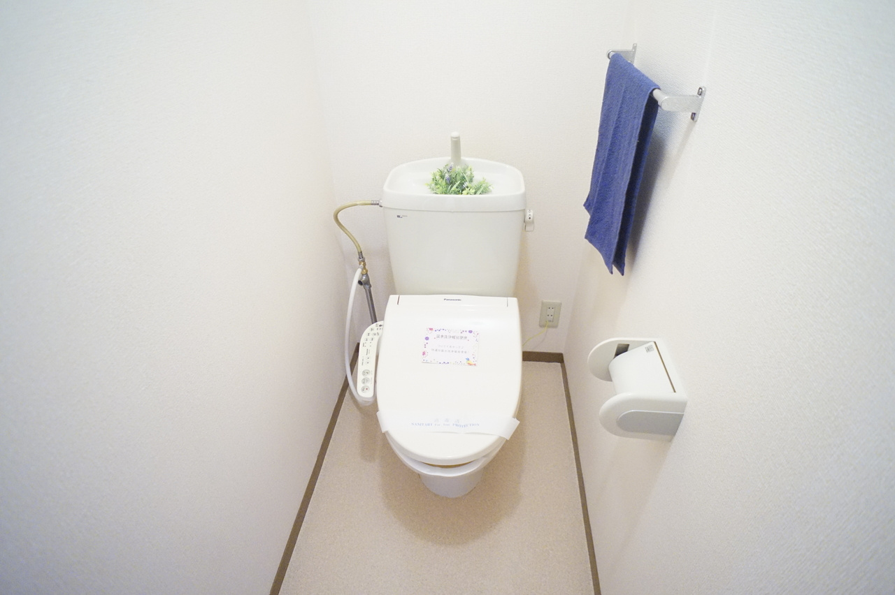 ラークハイムⅡのトイレ