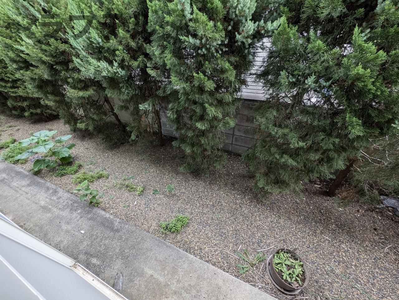 所沢市南住吉のアパートの庭|別部屋イメージ写真