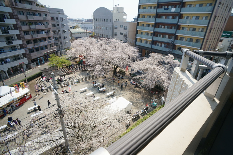 サンライト南浦和2番館の展望