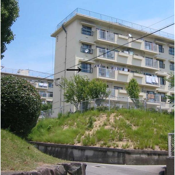 明舞第2団地8号棟の外観|外観は落ち着いています