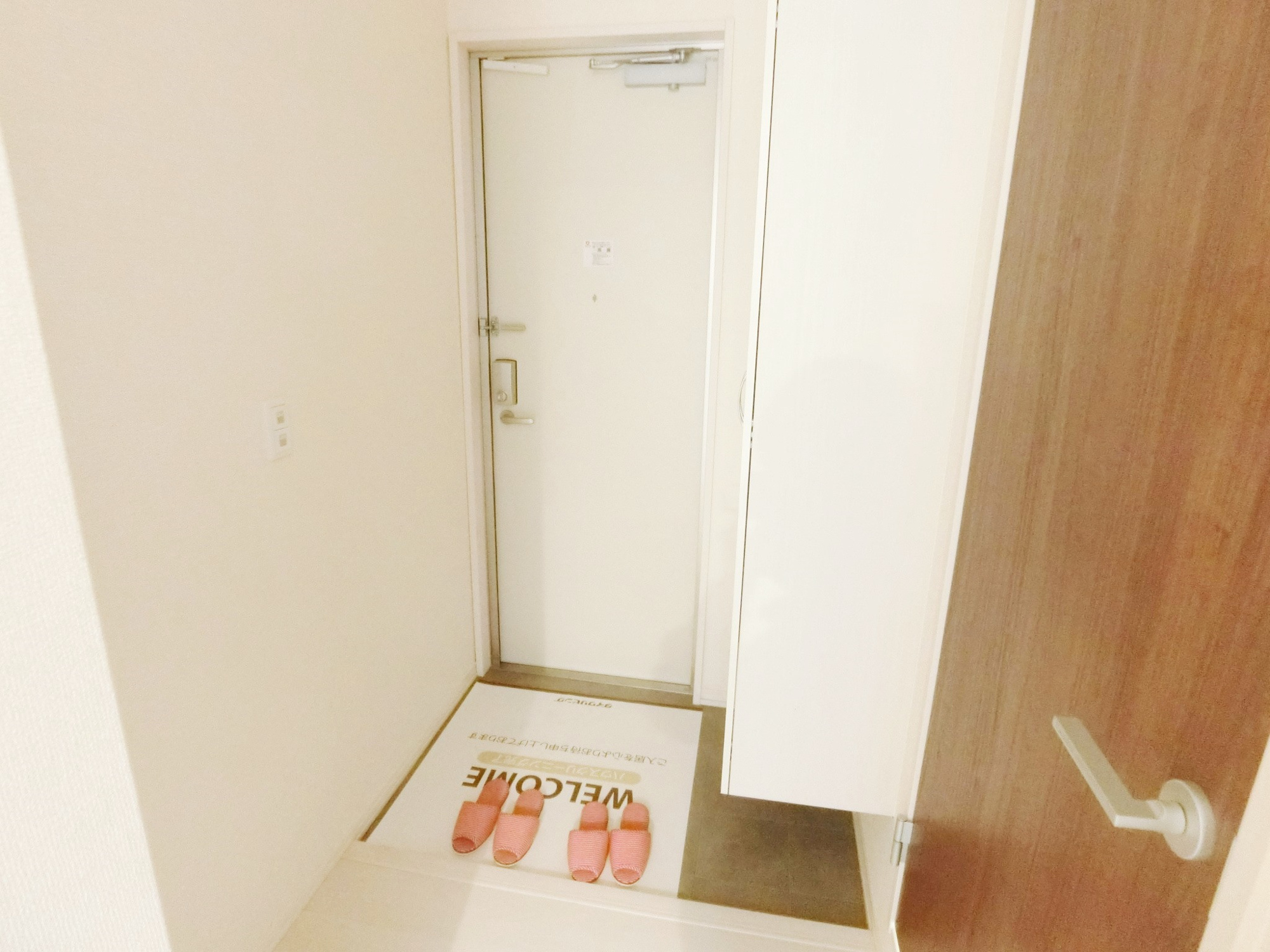 アイリス錦町の玄関|別号室の参考写真です。