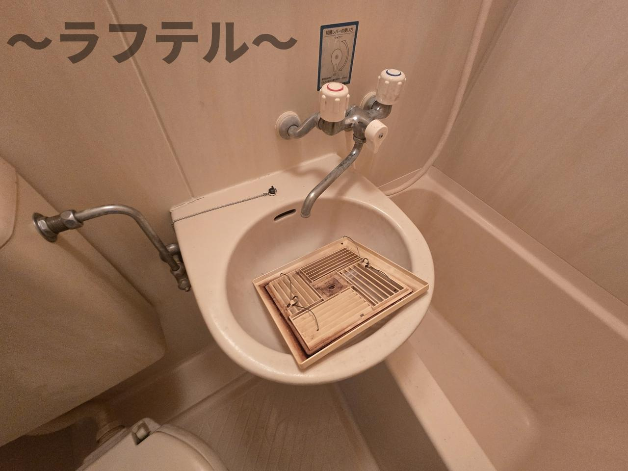 ウィステリアの洗面所