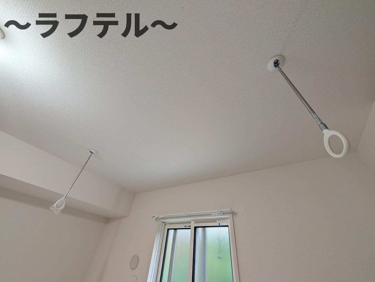 カメリアⅡのその他