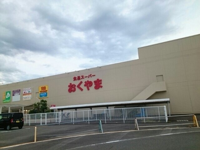 ルナ　ハイツⅢの周辺|おくやま三笠店まで2900m