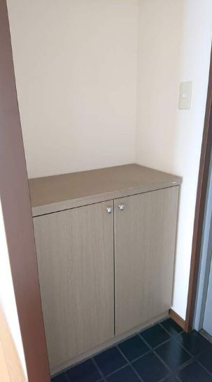 タケノヤハイツ朝日第一の玄関
