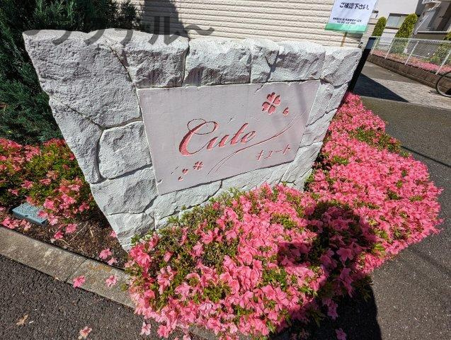 キュートのその他