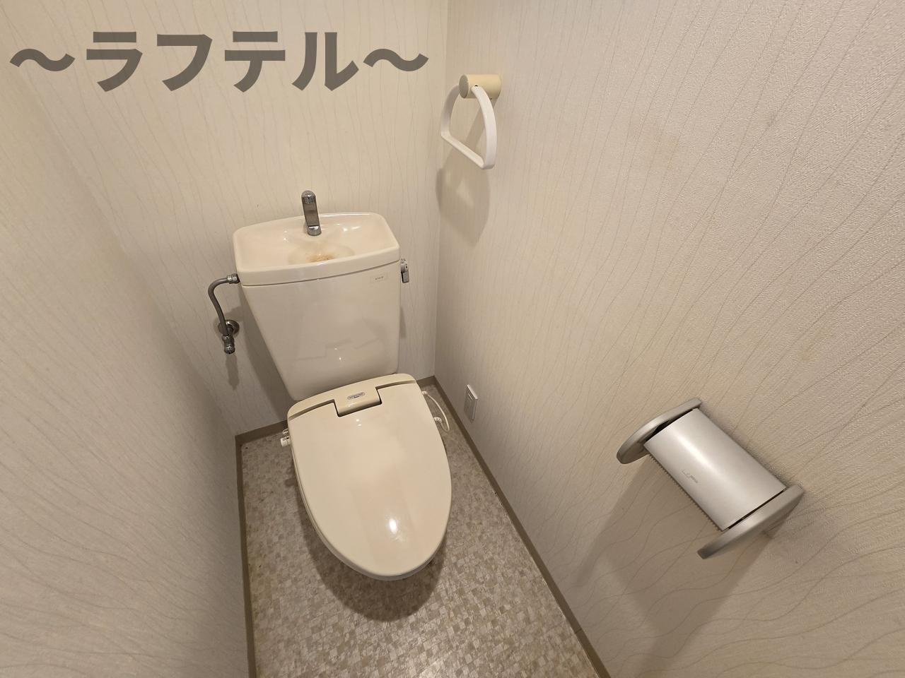 狭山市大字水野の賃貸マンションのトイレ
