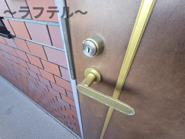 狭山市大字水野の賃貸マンションの玄関