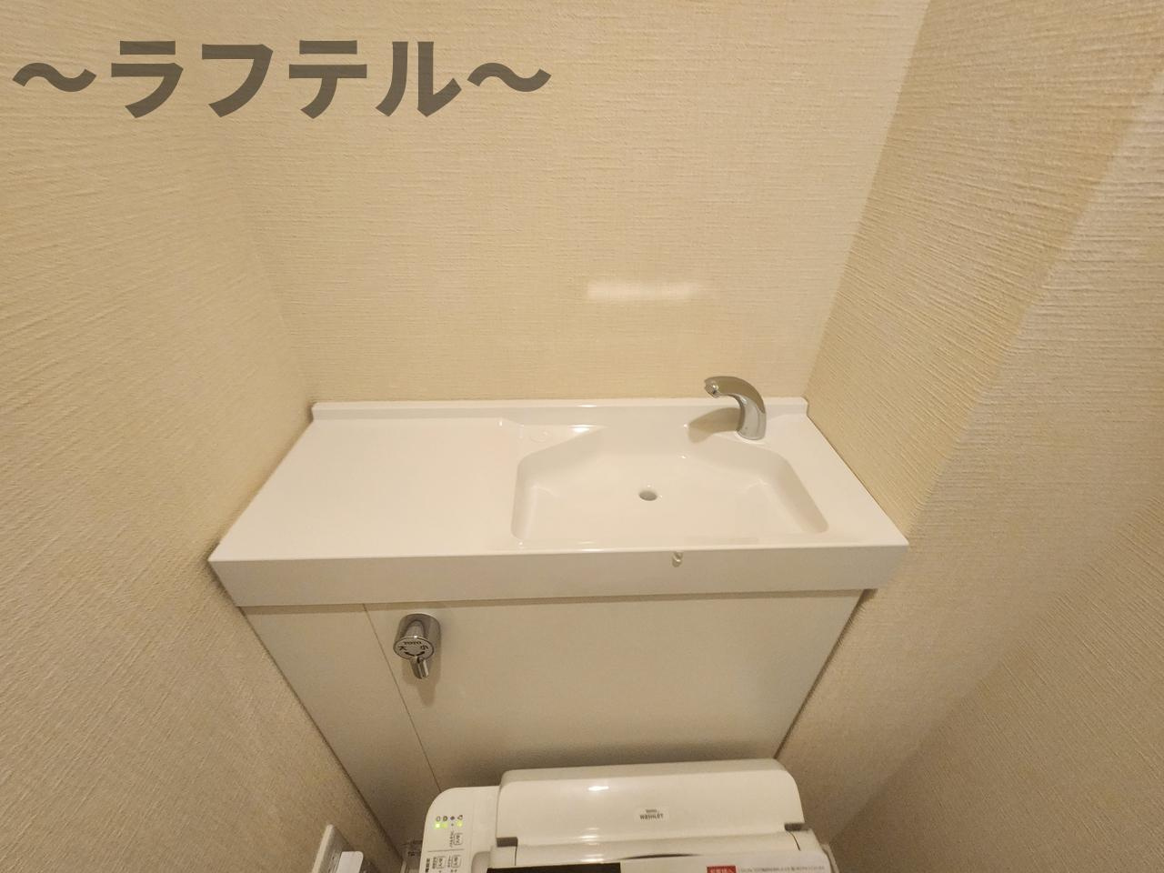 ハイムメゾン新狭山Bの洗面所